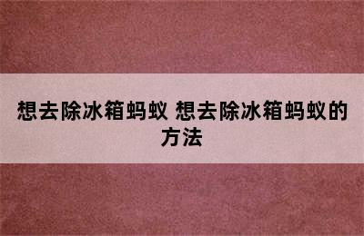 想去除冰箱蚂蚁 想去除冰箱蚂蚁的方法